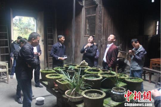 专家考察婺源县裔村的老屋 钟欣 摄