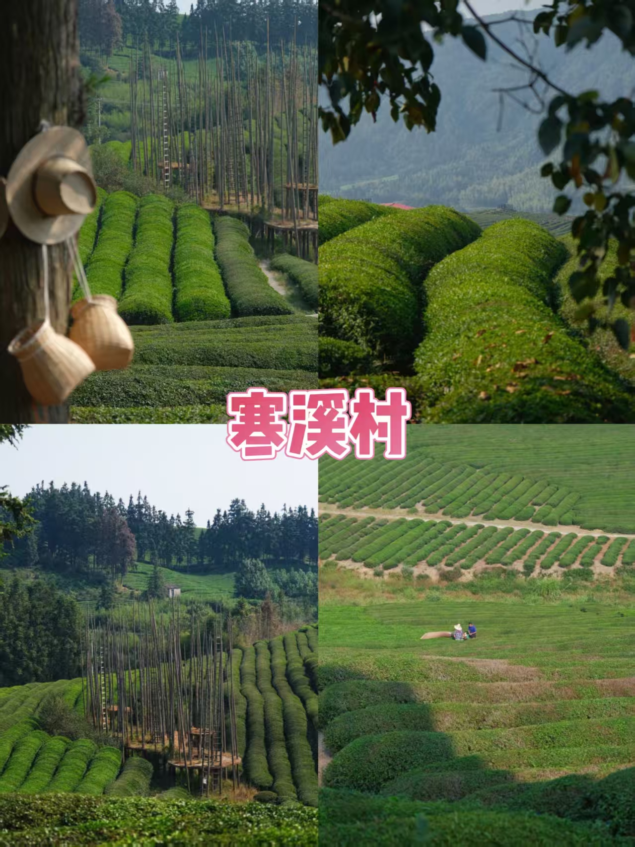 46c26d3cfcdfba0e9bcd51888701613f